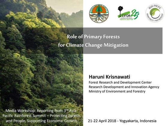 Role of primary forests for climate change mitigation