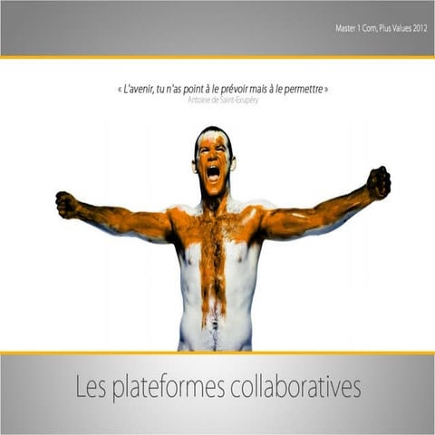 Mémoire 2012: Plateformes collaboratives