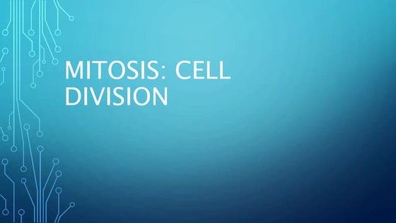 Mitosis | PPTX