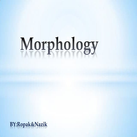 Morphology presentation