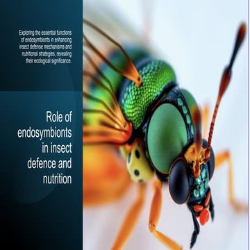 Endosymbionts in enhancing insect defense