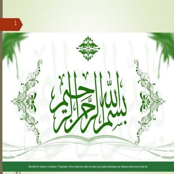 phosphorus uptake by mycorrhizze