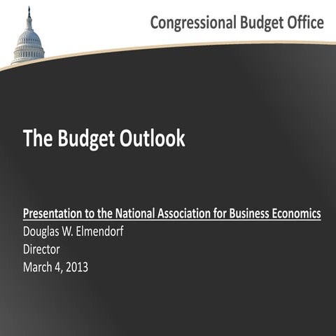 The Budget Outlook