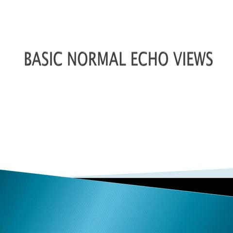 Presentation$ NAPCON echo basics and views
