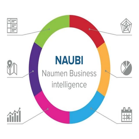 Naumen Business Intelligence. Система по оперативному контролю и поддержке пр...