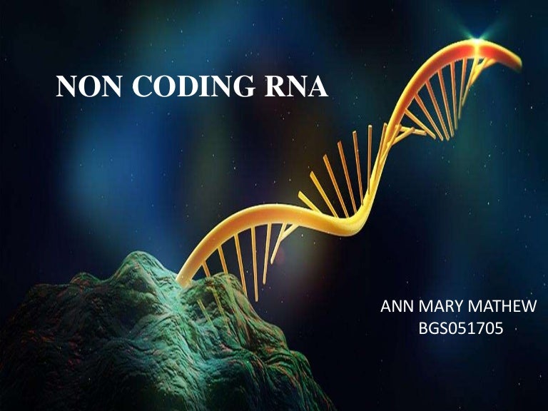 non coding RNA