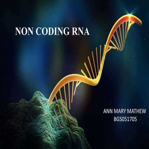 non coding RNA | PPTX | Biological Sciences | Science