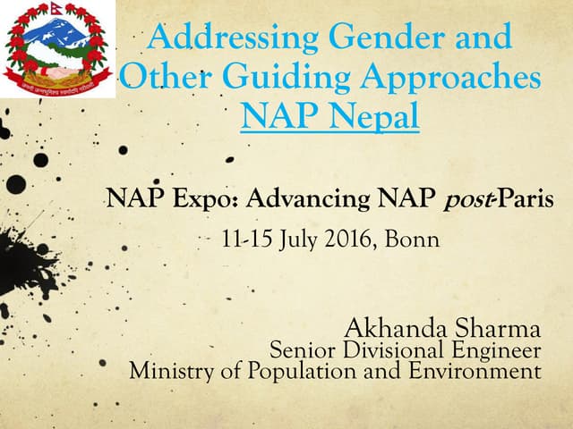 Addressing Gender and Other Guiding Approaches: Advancing NAP post-Paris