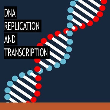 PresentationNEWOF REPLICATION ANDTRANSCRIPTION.pptx