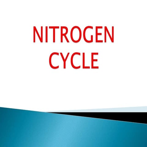 Presentation nitrogen cycle