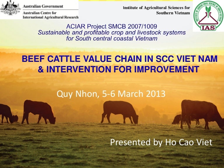 Presentation of beef cattle value chains 04 mar2013_english