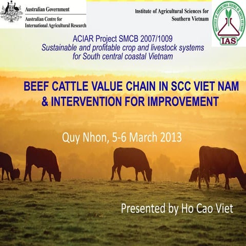 Presentation of beef cattle value chains 04 mar-2013_english