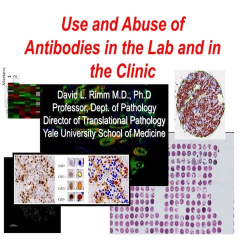 Presentation of David Rimm in 1st International Antibody Validation ...