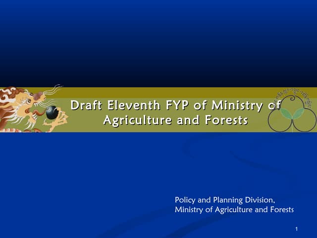 Presentation of draft efyp to mo af