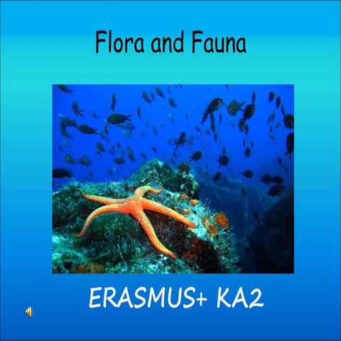 1st Primary School of Sitia-Erasmus +-Presentation of  flora and fauna