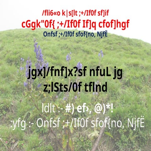 presentation of forest Guard in nepal.pptx