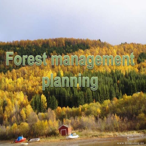 Presentation of Forest Management Planning | PPT