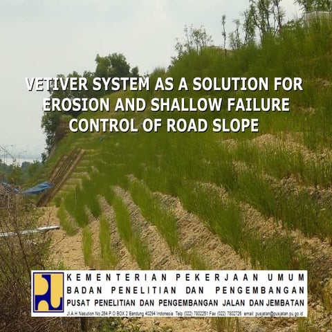  vetiver  update 2011