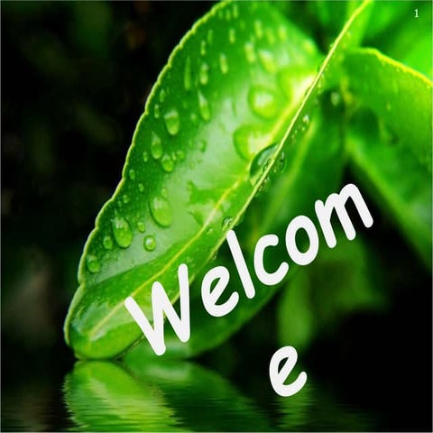 cultivation practices of  of peach