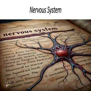 Neuron A neuron, also known as a nerve cell, is the basic functional unit of ...