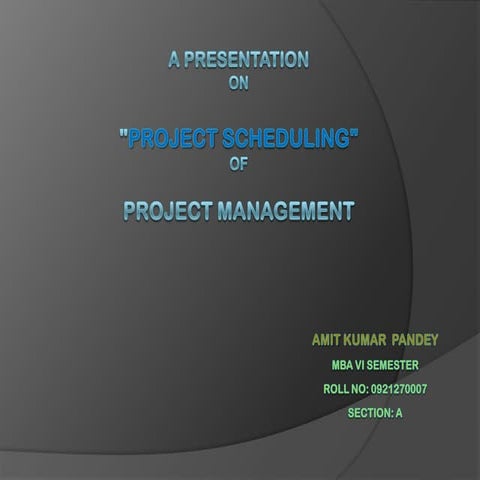 Presentation of project management