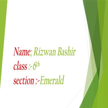 Presentation of rizwanBashir components of food