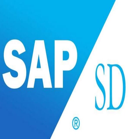 Presentation of SD and MM flows