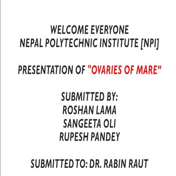 Presentation about Ovaries of Mare (veterinary)