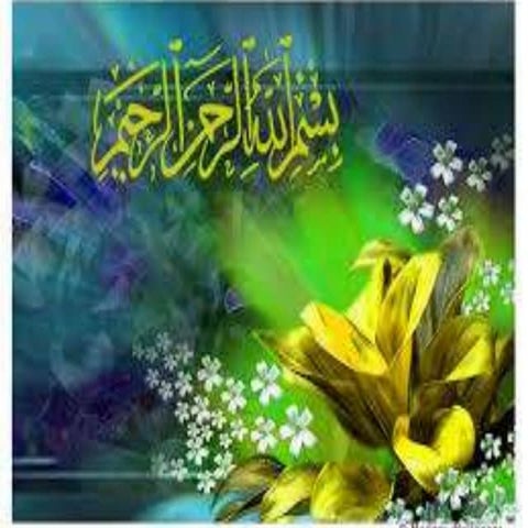 Statistics Questionnaire Analysis 