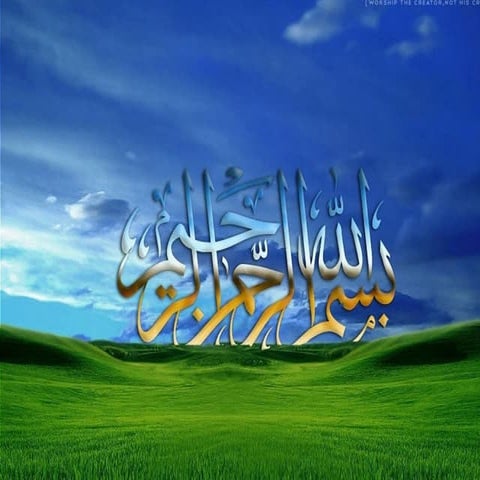 Presentation of surveying