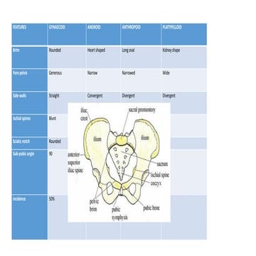 Comprehensive Overview of Pelvic Anatomy and Types for Childbirth | PDF