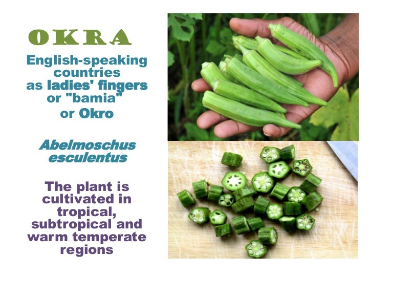 okra benefits