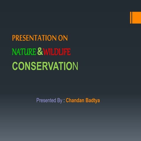 Presentation on nature and wildlife conservation