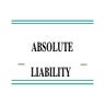 PRESENTATION ON ABSOLUTE LIABILITY.pptx