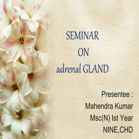 Presentation on adrenal gland
