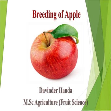 Breeding of Apple