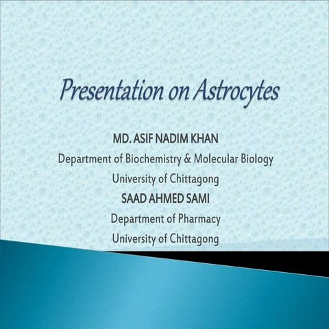 Presentation on astrocytes