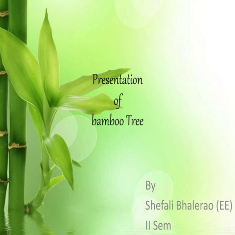 Presentation on bamboo tree