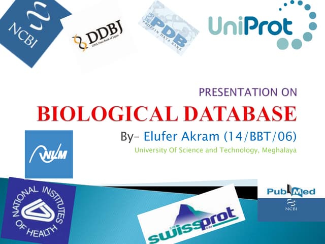 Presentation on Biological database  By Elufer Akram @ University Of Science ...