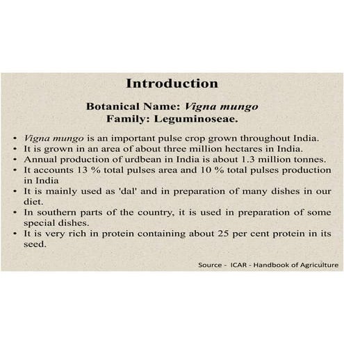 Presentation on black gram