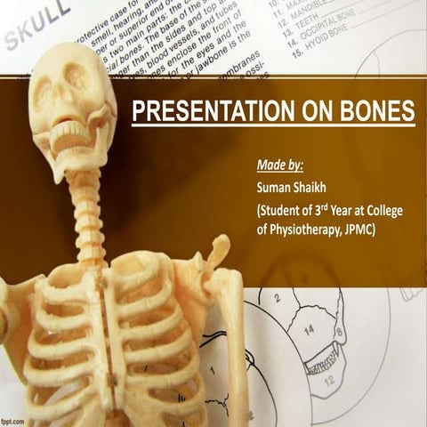 Presentation on bones