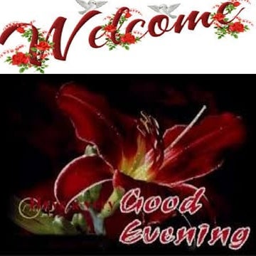 Presentation on bureaucracy