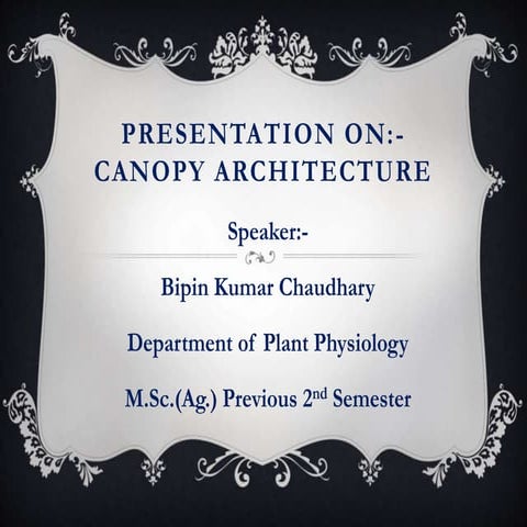 Presentation on canopy architecture
