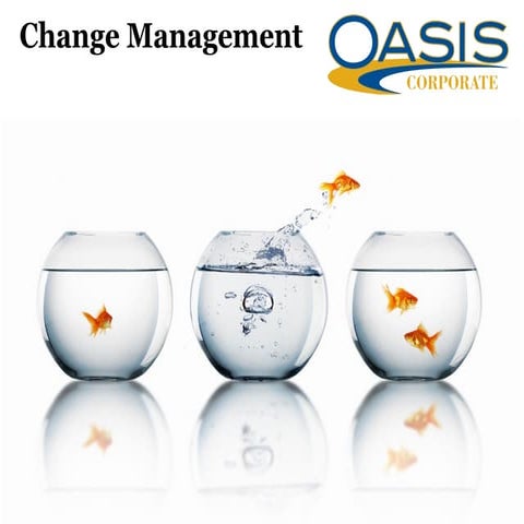presentationonchangemanagement-171103092943.pdf