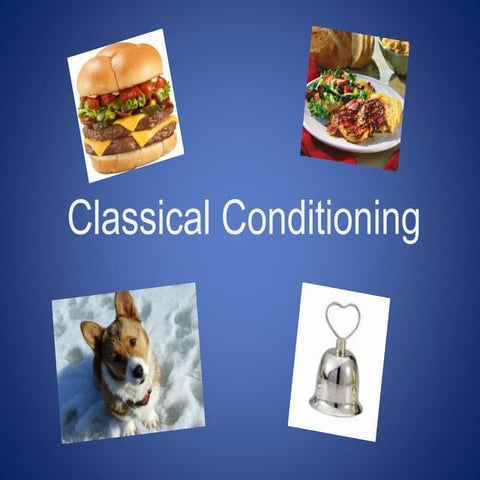 Presentation on classical conditioning