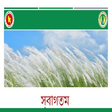 Presentation On Consumer Rights Of Pptx