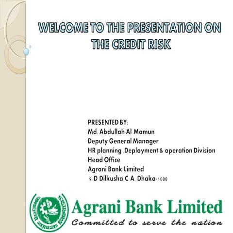 Presentation on credit risk 