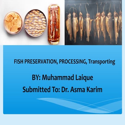 Presentation on fish processing, preservation and trasporting