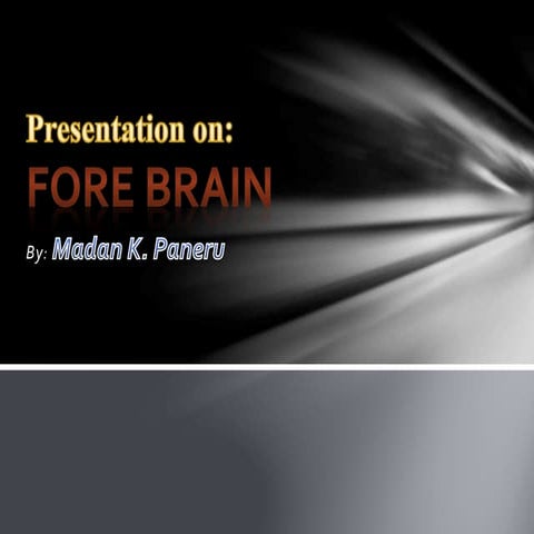 Presentation on forebrain