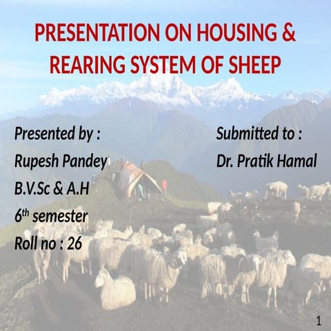 PRESENTATION ON HOUSING & REARING SYSTEM OF SHEEP